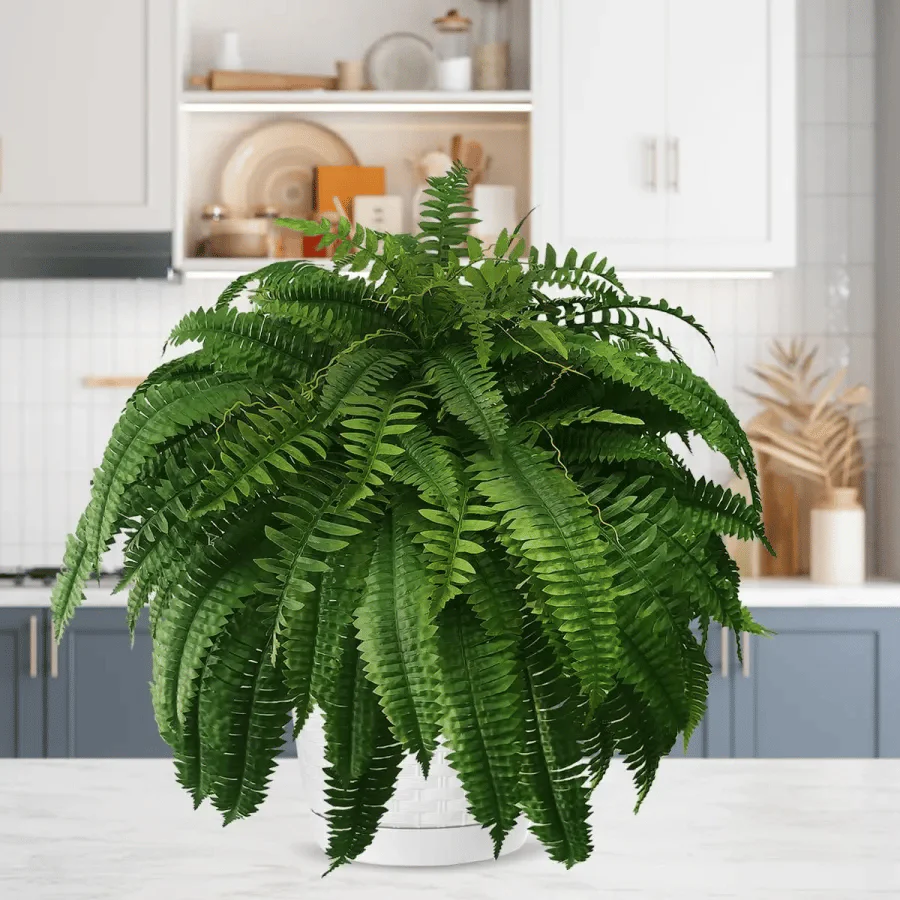Last Day 75% OFF--UV Resistant Lifelike Artificial Boston Fern - Image 10